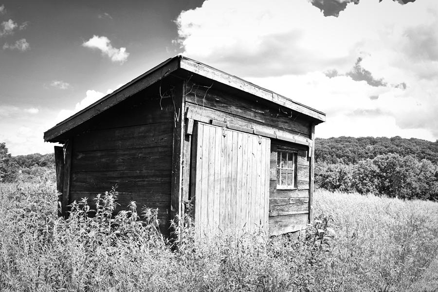 The Olde Shed Photograph