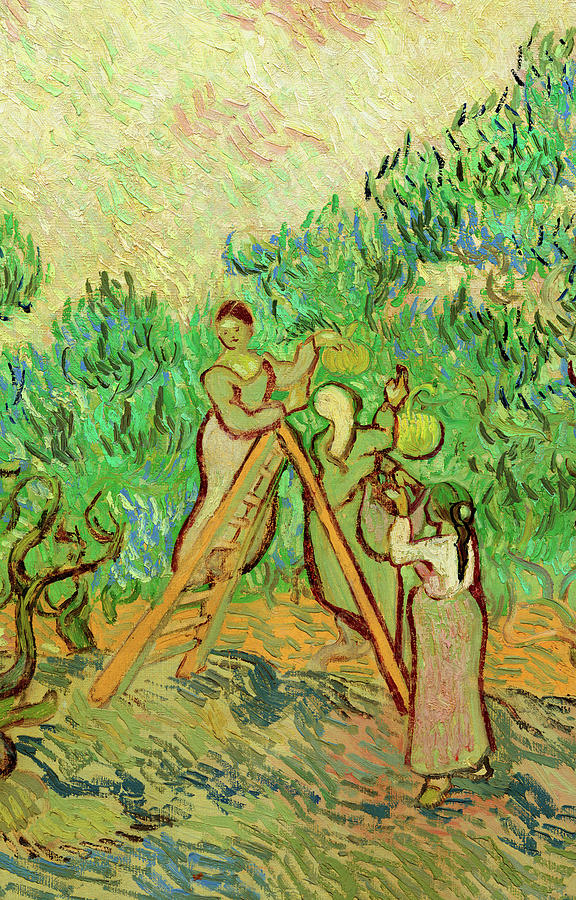 Vincent Van Gogh Painting - The Olive Pickers, 1889 by Vincent van Gogh