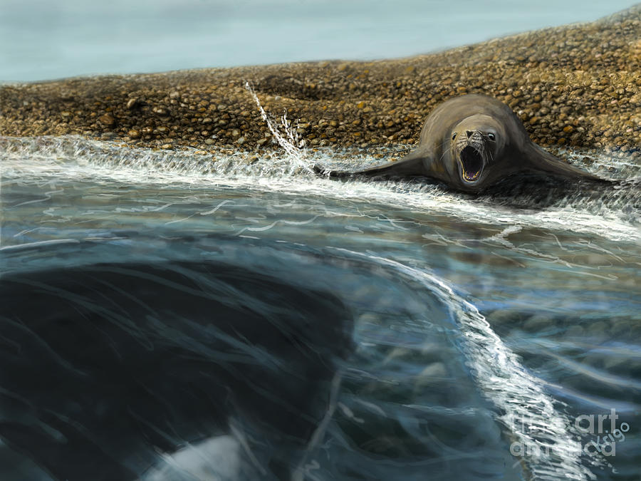 The orca and the seal. Digital Art by Christine Krigovsky