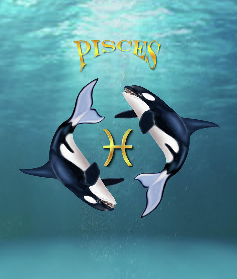The Orca Pisces  Digital Art by Glenn Holbrook