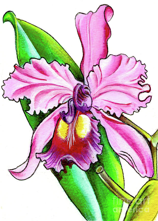 The Orchid Queen Painting by Navneeta Katare - Fine Art America