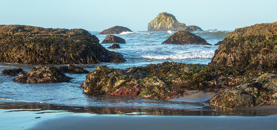 The Oregon Coast 24 Photograph by Eleanor Bortnick - Fine Art America