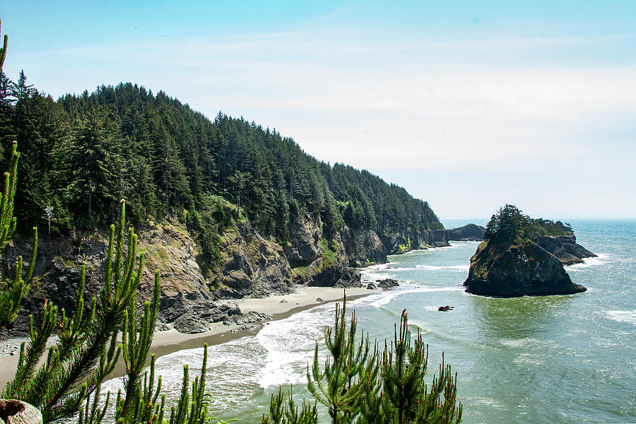 The Oregon Coast 5 Photograph by Eleanor Bortnick - Fine Art America