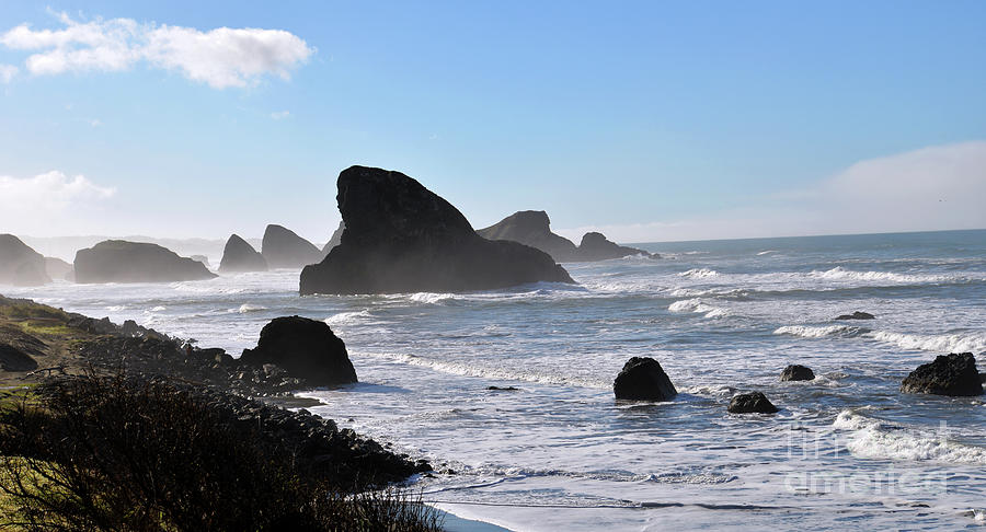 The Oregon Coast Photograph by Denise Bruchman