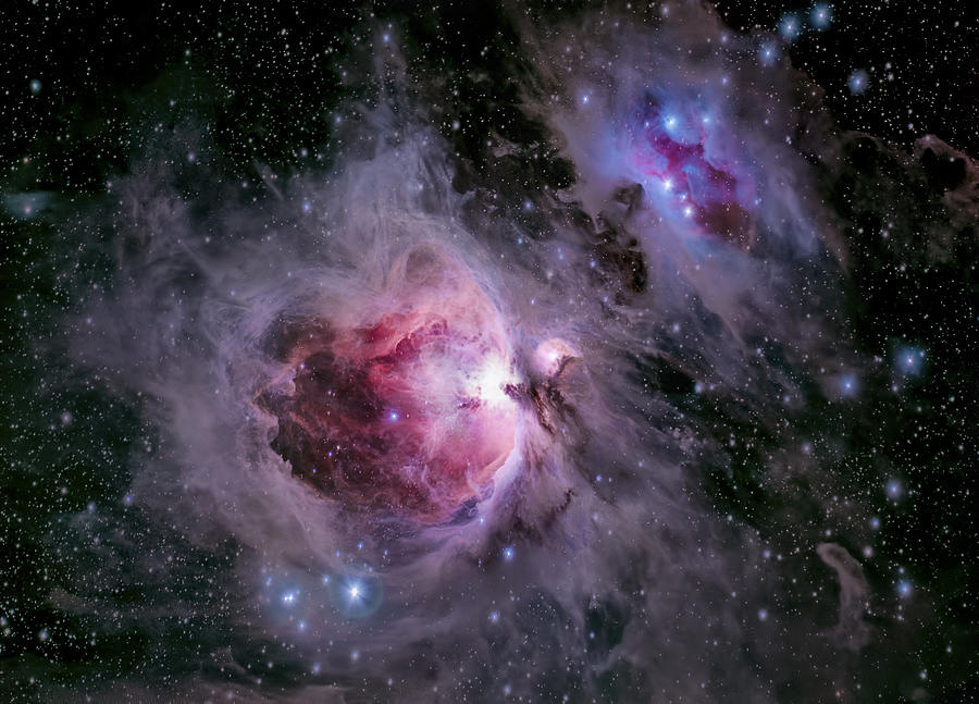 The Orion Nebula Photograph by Jelieta Walinski - Fine Art America