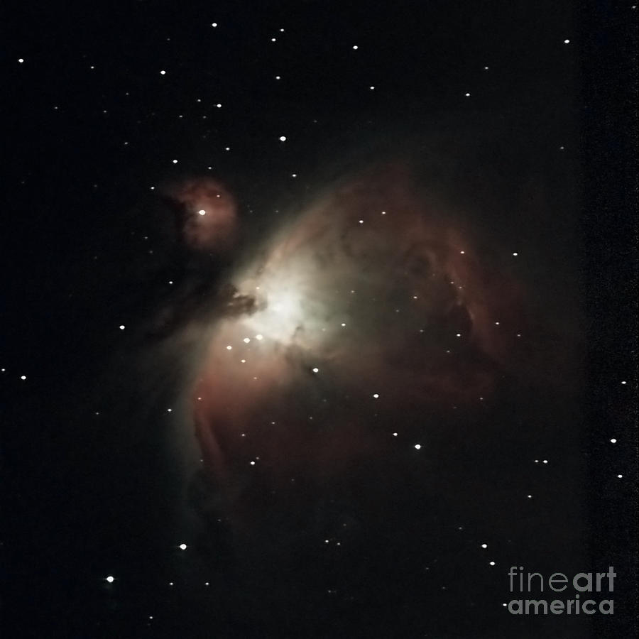 The Orion Nebula M42 Photograph by Sheila Lee