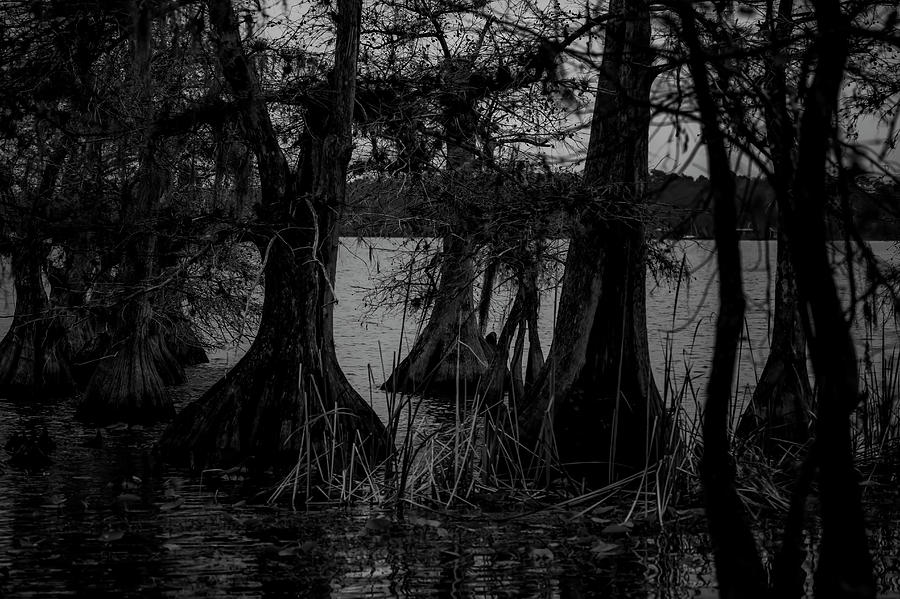 The Other side of the lake by Kevin Banker The Other side of the lake by Kevin Banker
