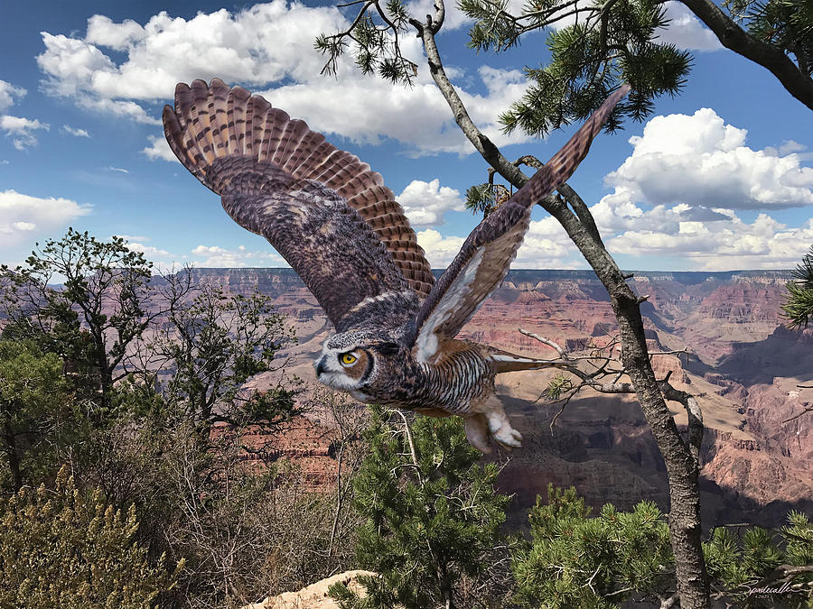 Great Horned Owl at the Grand Canyon Digital Art by Spadecaller