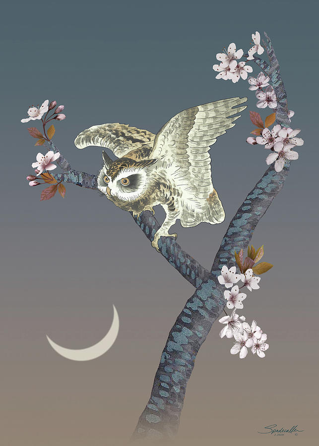 The Owl and the Moon Mixed Media by M Spadecaller