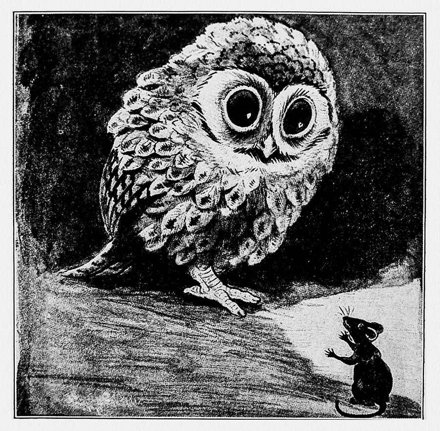 The Owl and The Mouse by Louis Wain Drawing by Orca Art Gallery - Fine ...