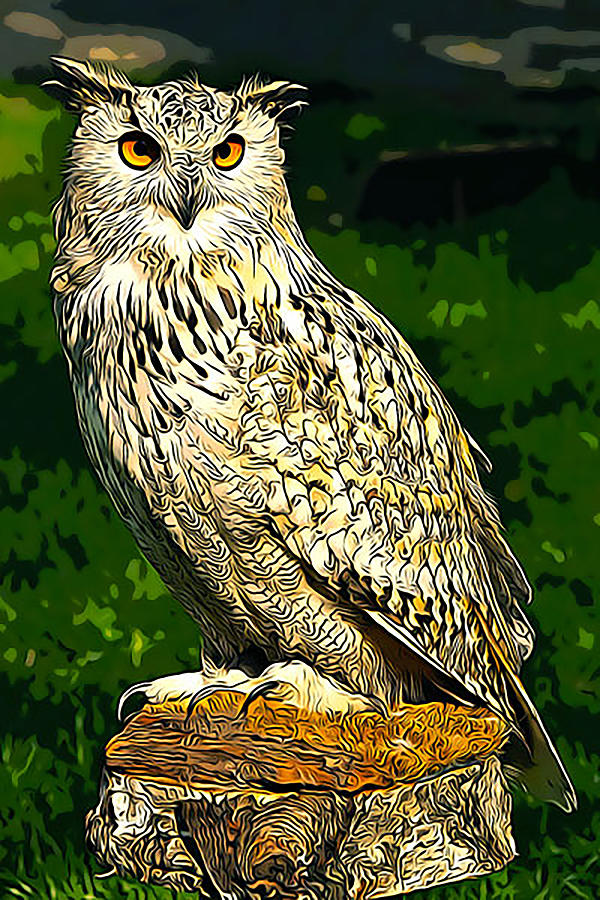 The Owl Digital Art by Curt Freeman