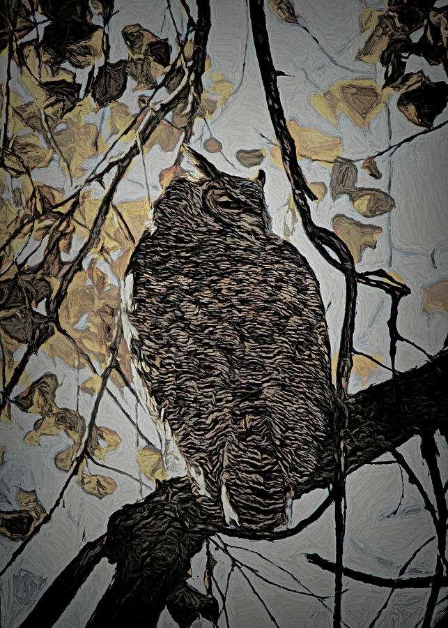 The Owl Digital Art by Ernest Echols