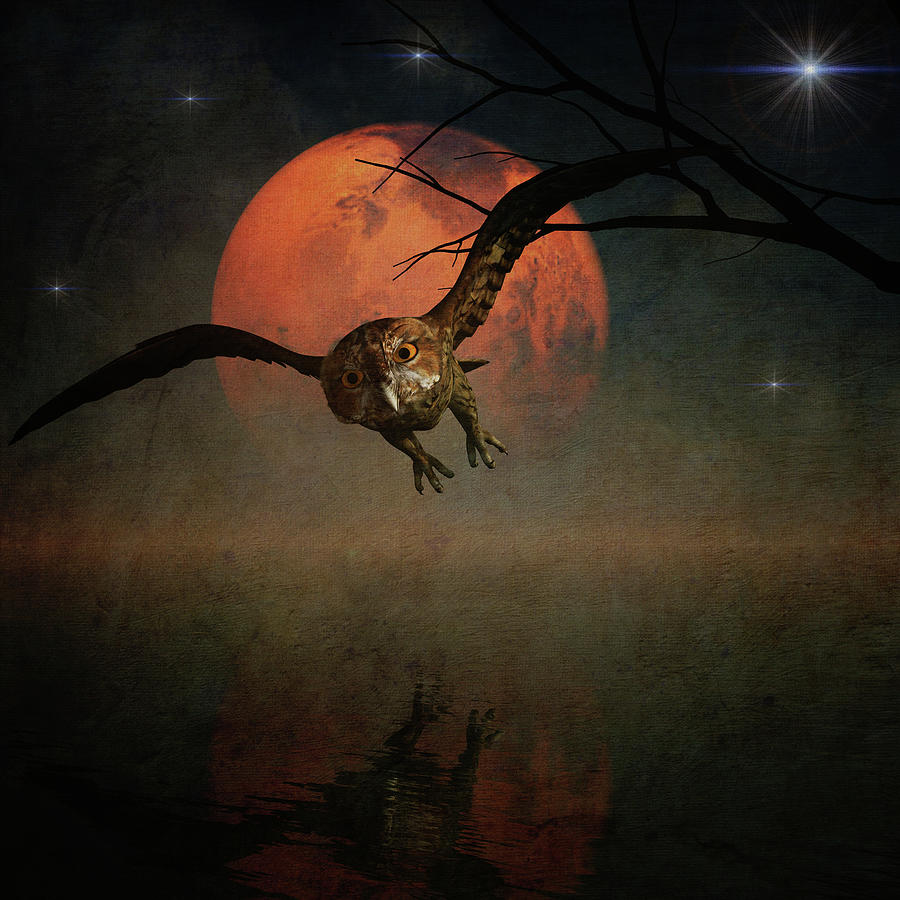 The owl goes hunting in the night Digital Art by Jan Keteleer