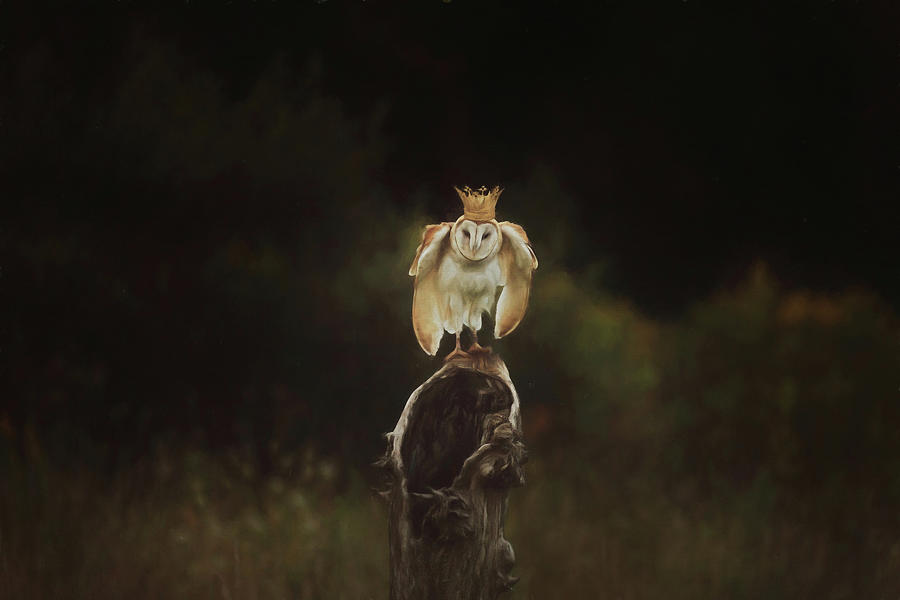 The Owl King Painterly Version Photograph by Carrie Ann Grippo-Pike