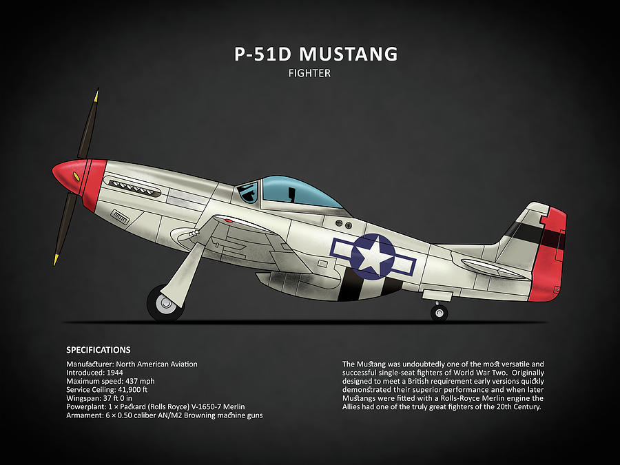 The P 51d Mustang Photograph By Mark Rogan