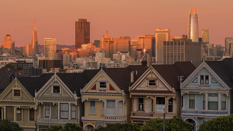 The Painted Ladies at Sunset Photograph by Laura Macky