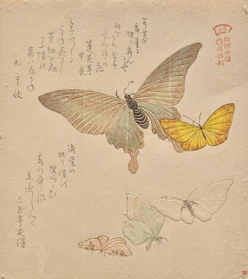 Nature Drawing - The Painting Manual of Flock of Butterflies Guncho Gafu II s by Kubo Shunman Japanese