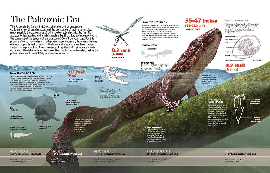 paleozoic era periods all