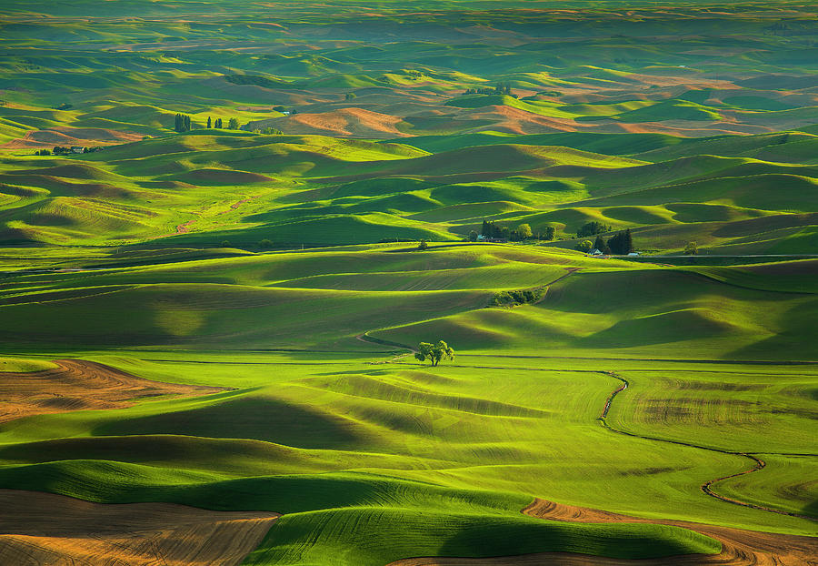 The Palouse Photograph by Christian Rogers - Fine Art America