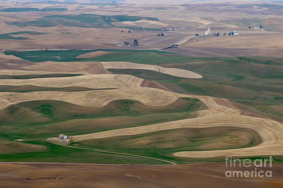 The Palouse Hills in Springtime Photograph by Carol Groenen
