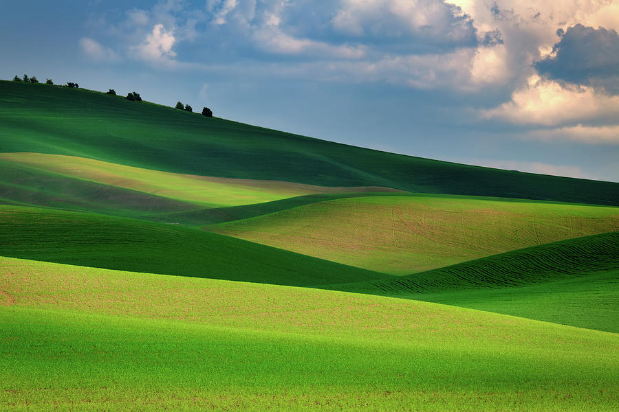 Abstract Photograph - The Palouse in Light and Shadow by Rick Berk