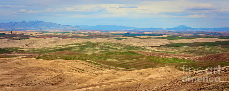 The Palouse Panorama with Mountains Photograph by Carol Groenen