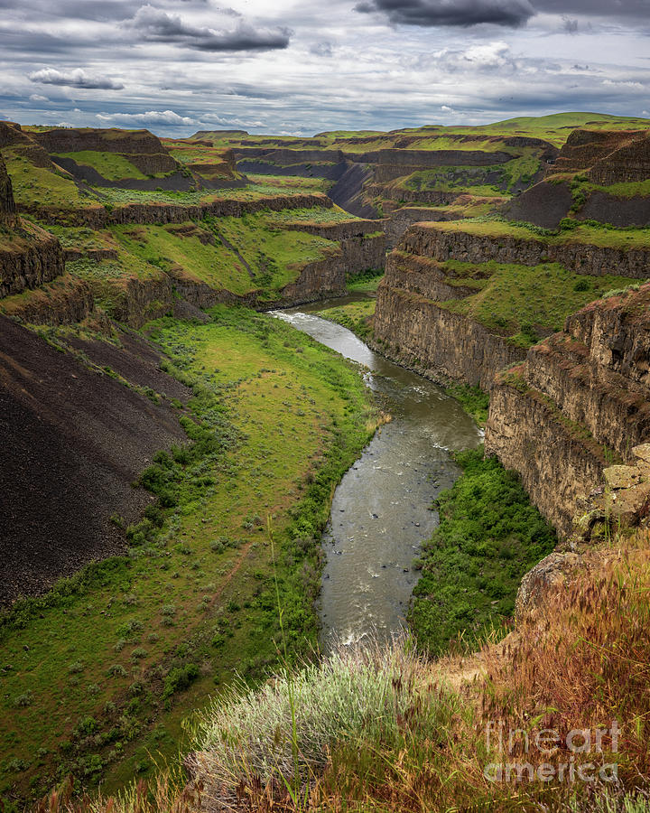 The Palouse River Gorge Photograph by Mimi Ditchie | Fine Art America