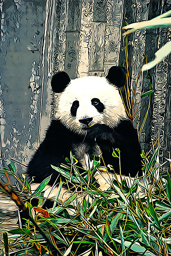 The Panda Digital Art by Curt Freeman