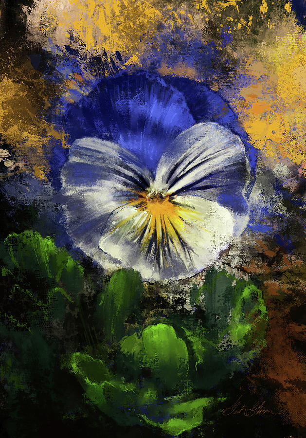 The Pansy Of Spring Digital Art