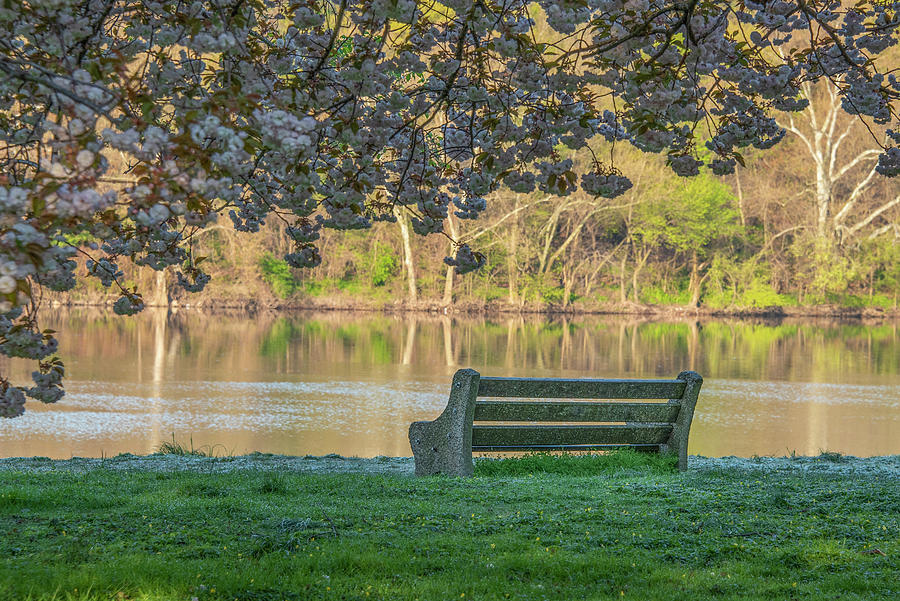 The Park Bench by the Schuylkill River Photograph by Bill Cannon - Pixels