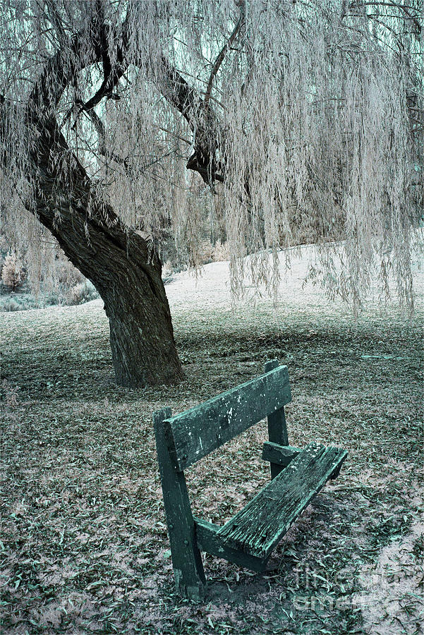 The Park by Russell Brown The Park by Russell Brown