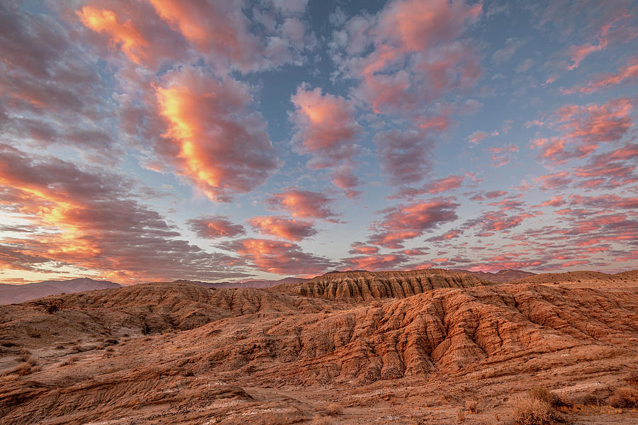 Sunset Photograph - The Pastel Desert by Peter Tellone