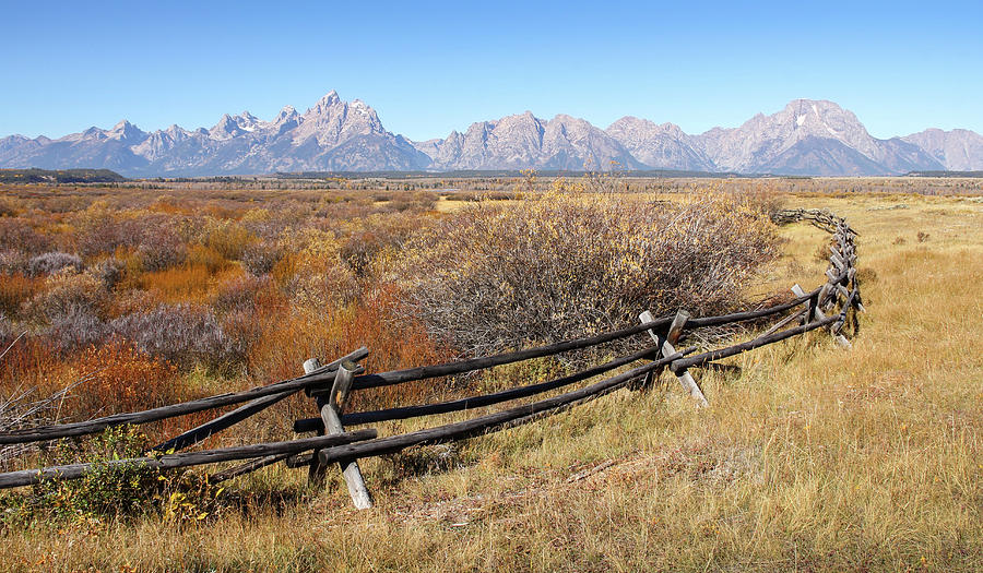 The Pasture Fence Photograph by Robert Carter