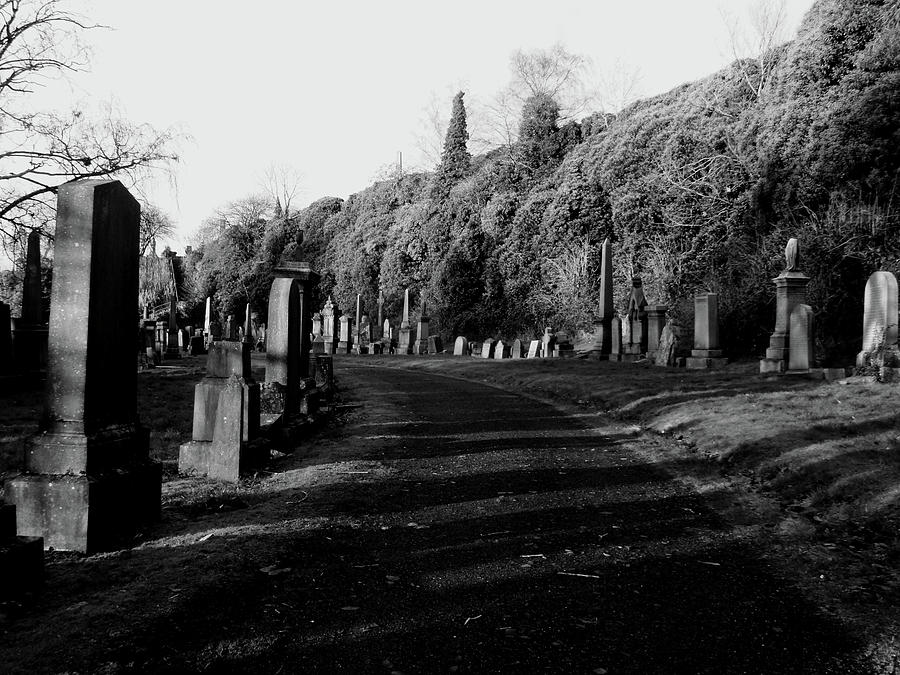 Scottish Photograph - The Path And The Headstones by David Gallie