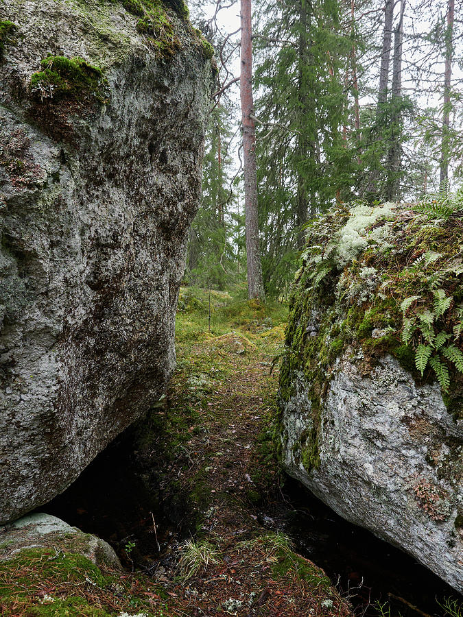 The Path between the Boulders Photograph by Jouko Lehto