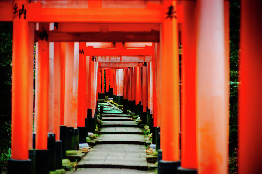 The Path, Fushimi Inari Taisha, Kyoto Photograph by Eugene Nikiforov