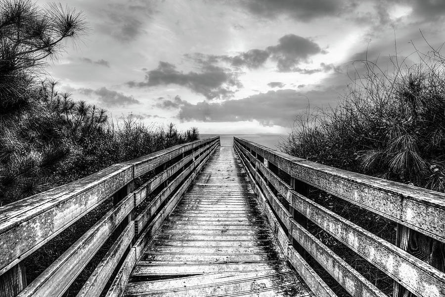 The Path in Black and White Photograph by Debra and Dave Vanderlaan ...