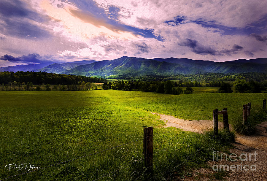 The Path in Cades Cove Photograph by Theresa D Williams