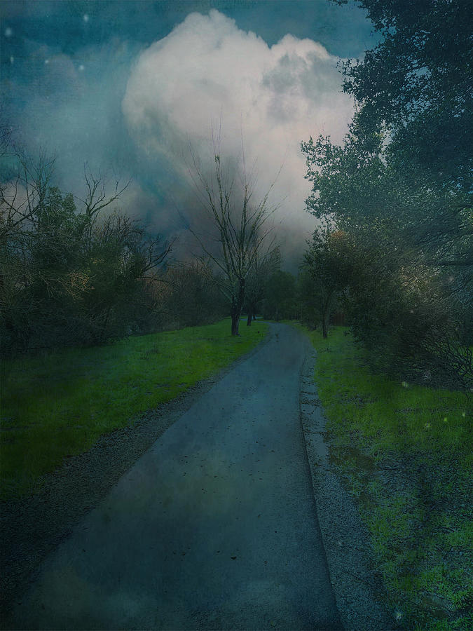 The path Photograph by James Thomas - Fine Art America