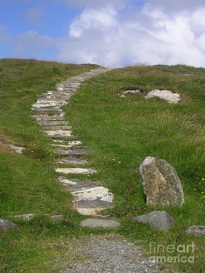 The Path Less Travelled Photograph by Lesley Evered - Pixels