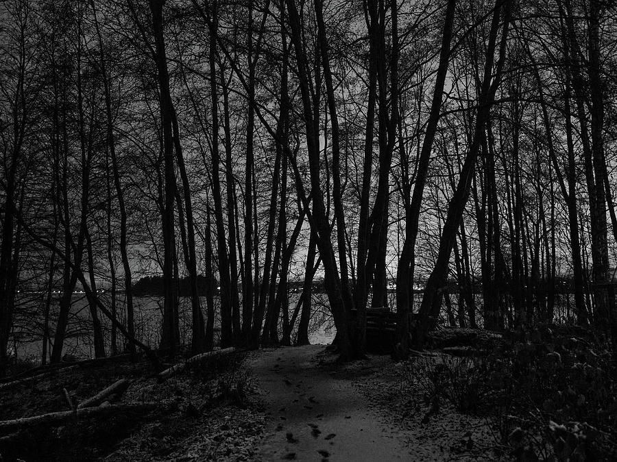 The Path Through The Dark Photograph