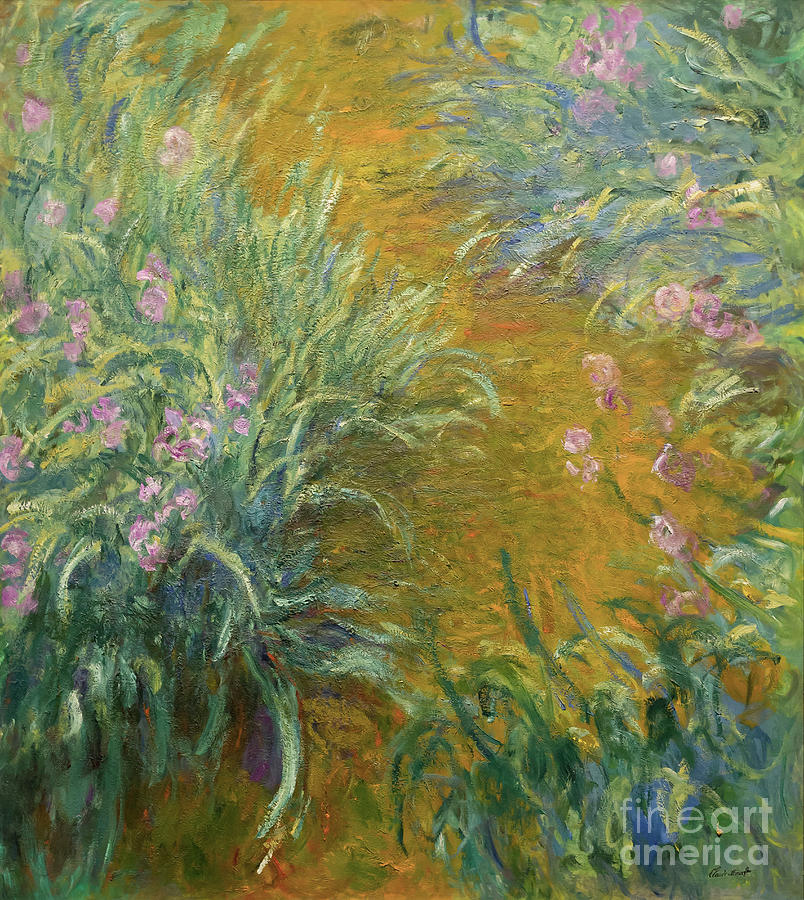 The Path through the Irises, 1914-1917 Photograph by Claude Monet ...