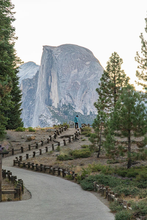 The Path To Half Dome Photograph