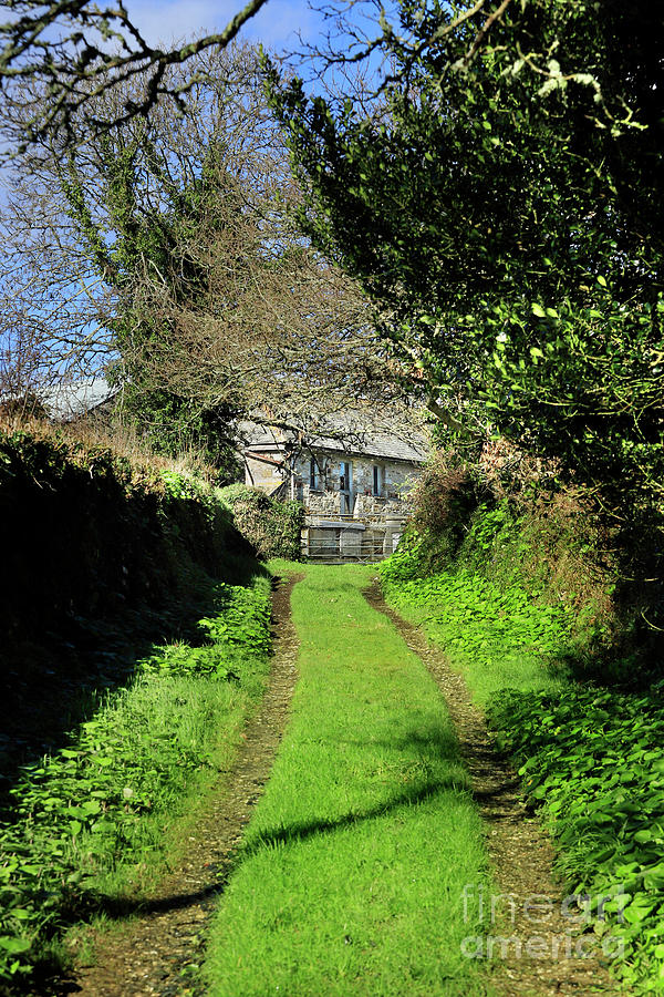 The Path to Halwyn Farm Photograph by Terri Waters