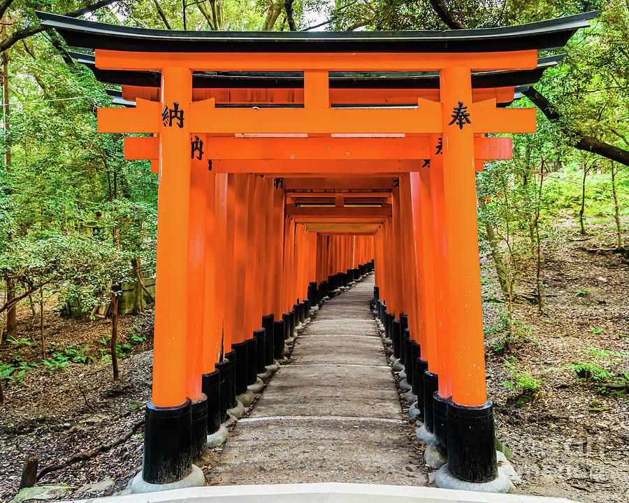 The path to spirituality, Senbon Torii at Fushimi Inari-Taisha shrine, Kyoto Photograph by Lyl Dil Creations
