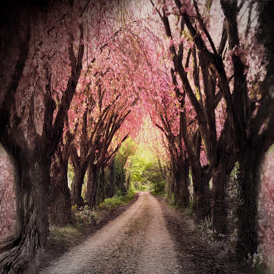 The Path to Spring Street Digital Art by Don DePaola