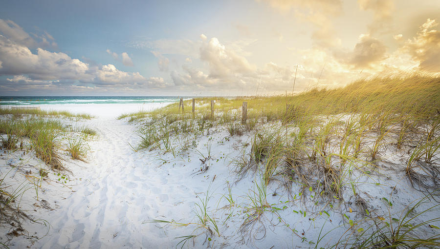The Path To The Seashore At Gulf Islands National Seashore Florida Photograph by Jordan Hill
