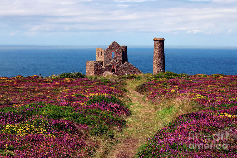 The Path to Wheal Coates Photograph by Terri Waters