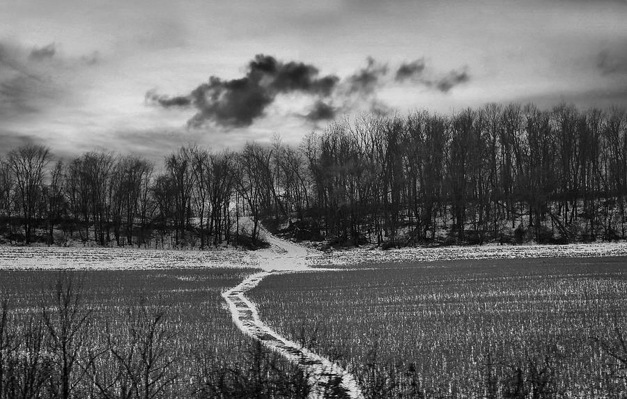 The Path To Winter Land Photograph
