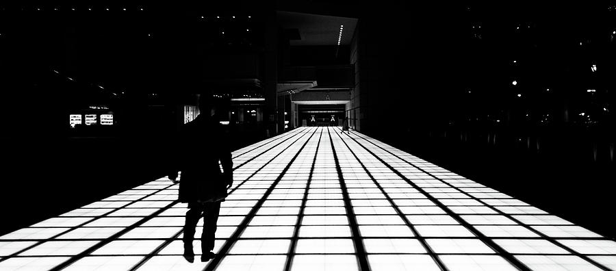 The Path, Tokyo Photograph by Eugene Nikiforov